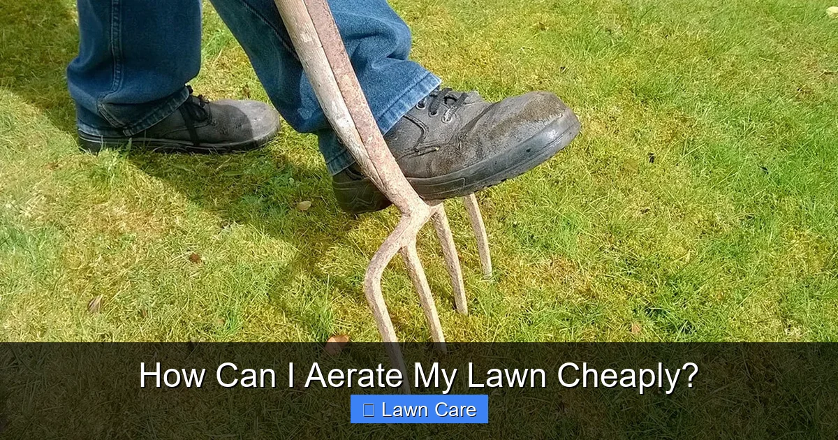 How Can I Aerate My Lawn Cheaply?