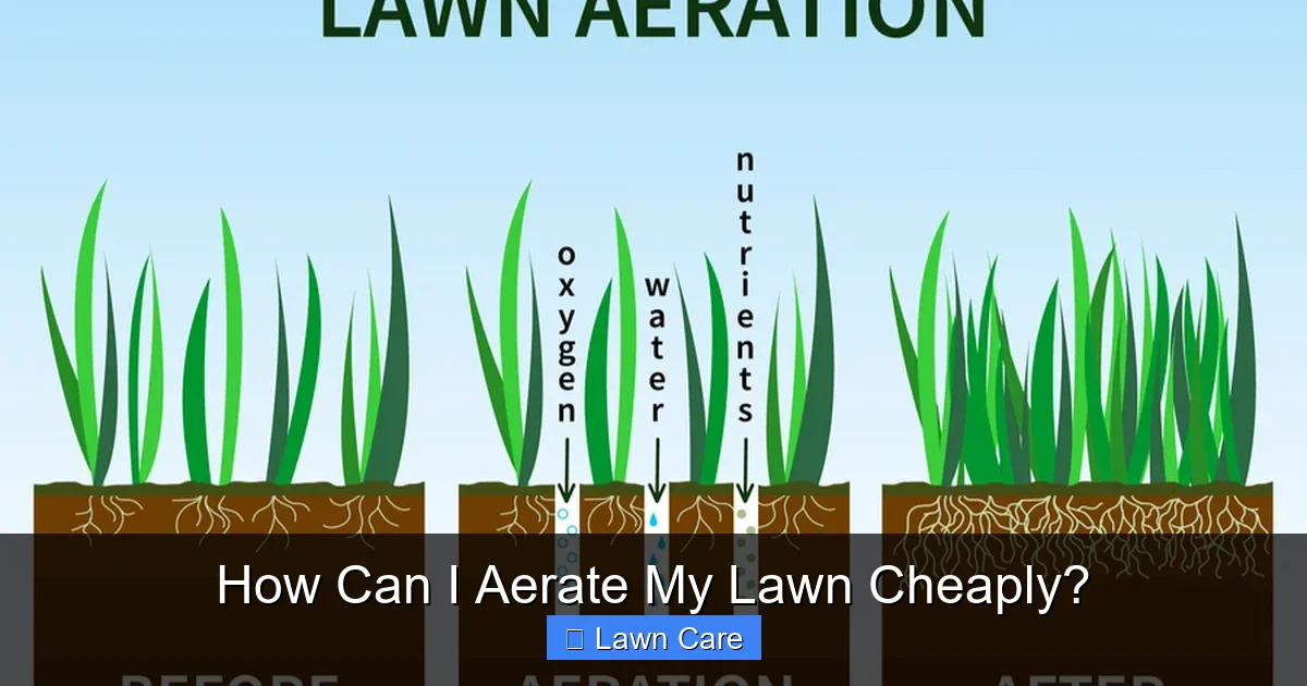 How Can I Aerate My Lawn Cheaply?