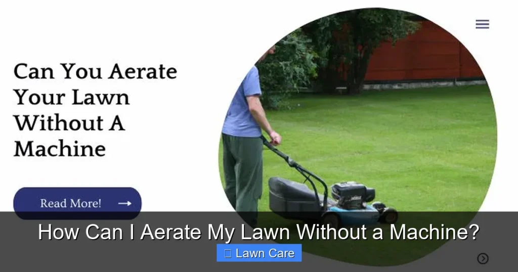 How Can I Aerate My Lawn Without a Machine?