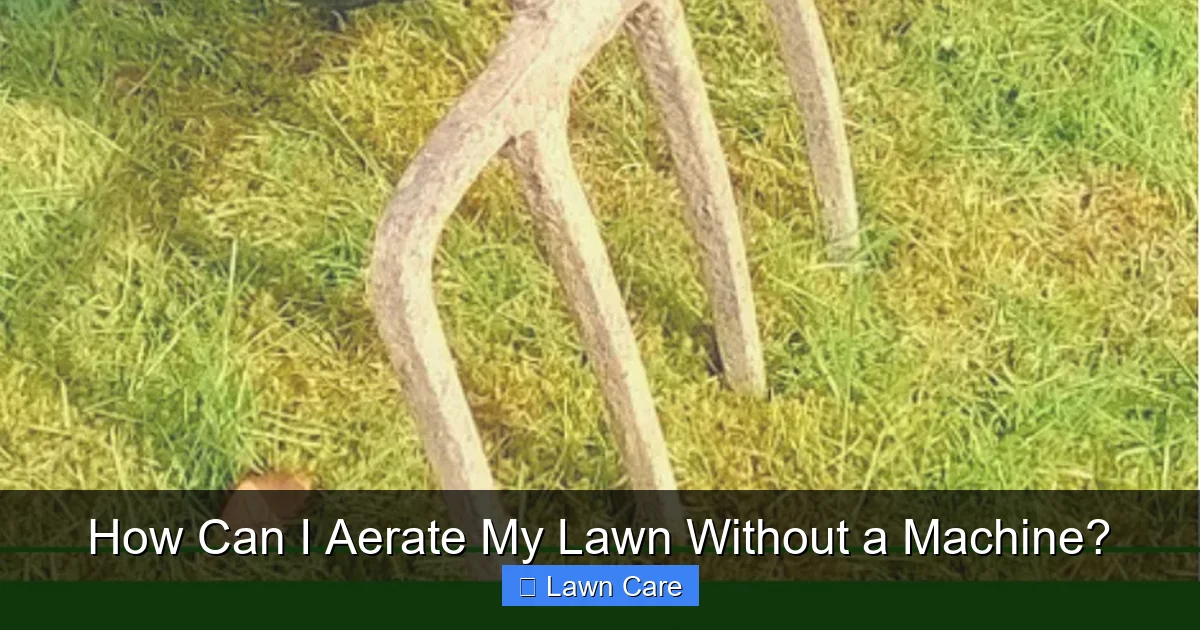 How Can I Aerate My Lawn Without a Machine?