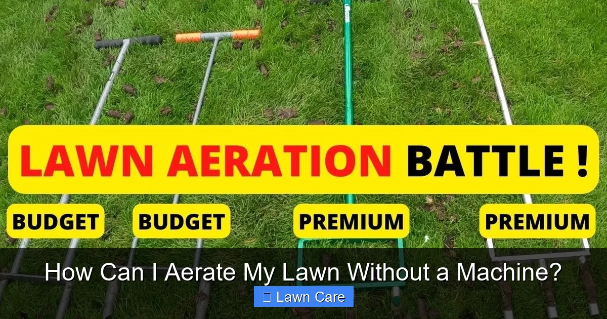 How Can I Aerate My Lawn Without a Machine?