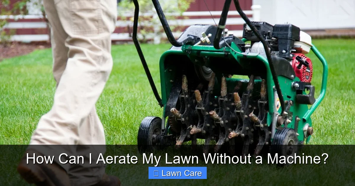 How Can I Aerate My Lawn Without a Machine?