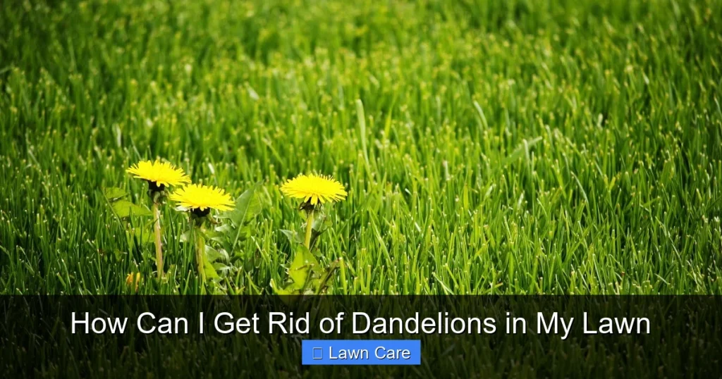 How Can I Get Rid of Dandelions in My Lawn