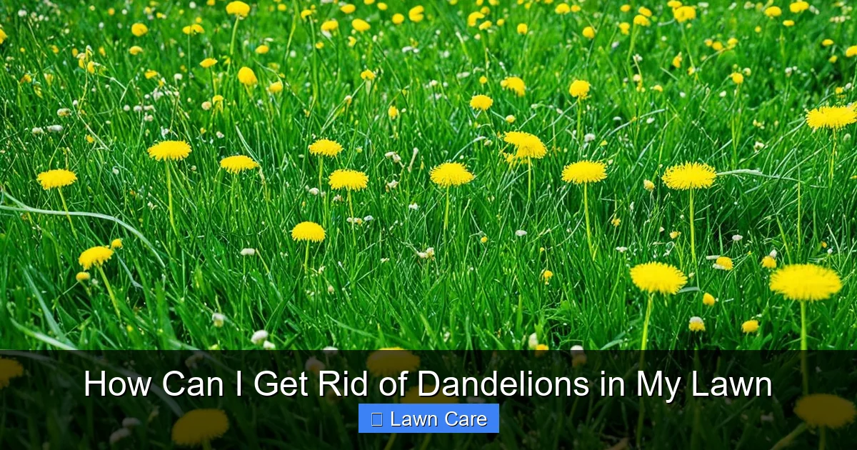 How Can I Get Rid of Dandelions in My Lawn