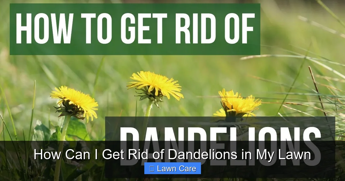 How Can I Get Rid of Dandelions in My Lawn