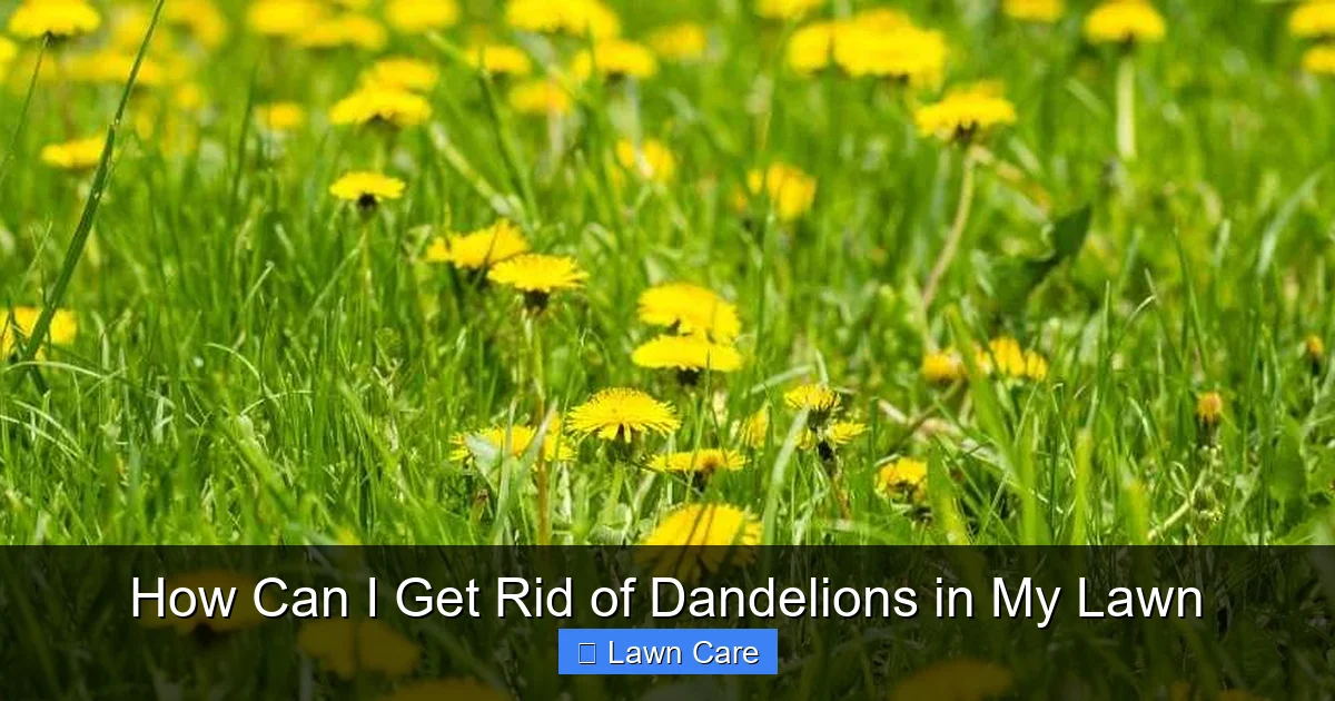 How Can I Get Rid of Dandelions in My Lawn