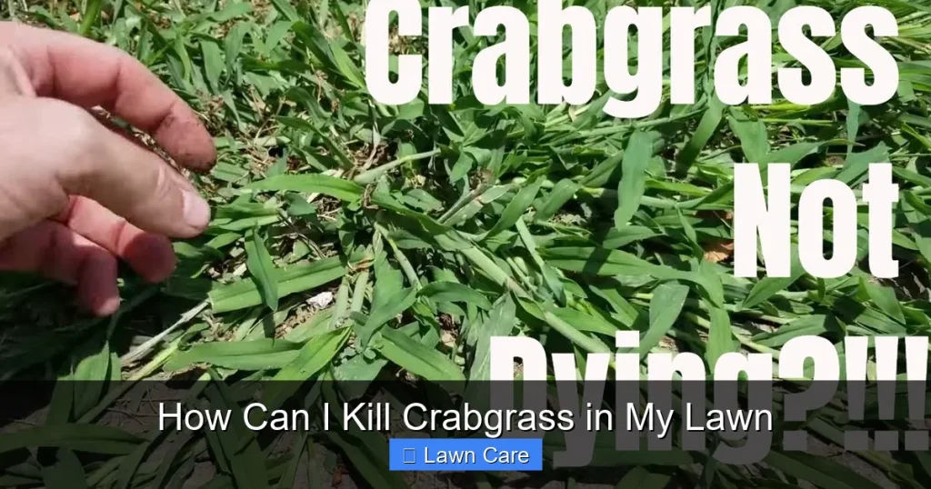 How Can I Kill Crabgrass in My Lawn