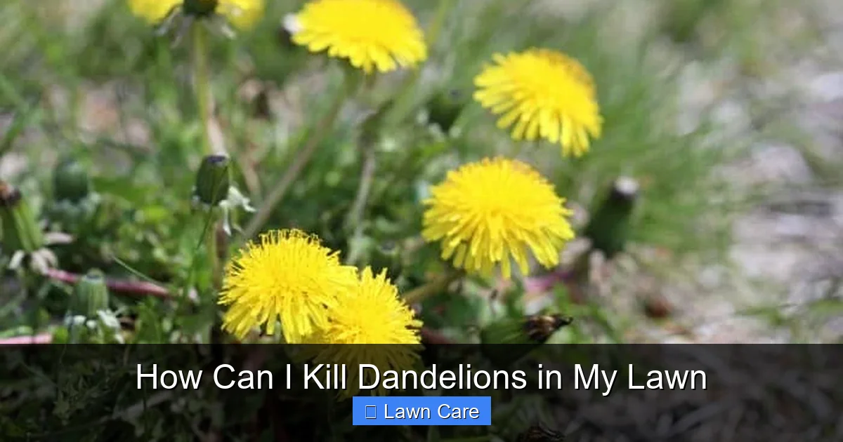 How Can I Kill Dandelions in My Lawn
