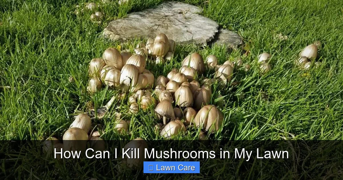 How Can I Kill Mushrooms in My Lawn