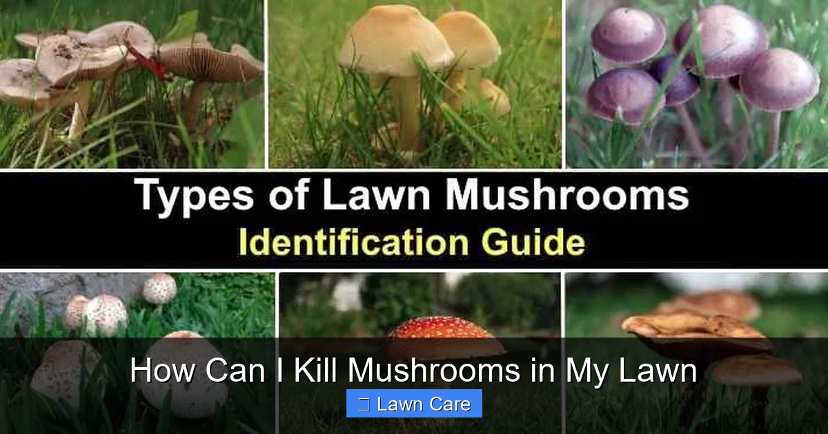 How Can I Kill Mushrooms in My Lawn
