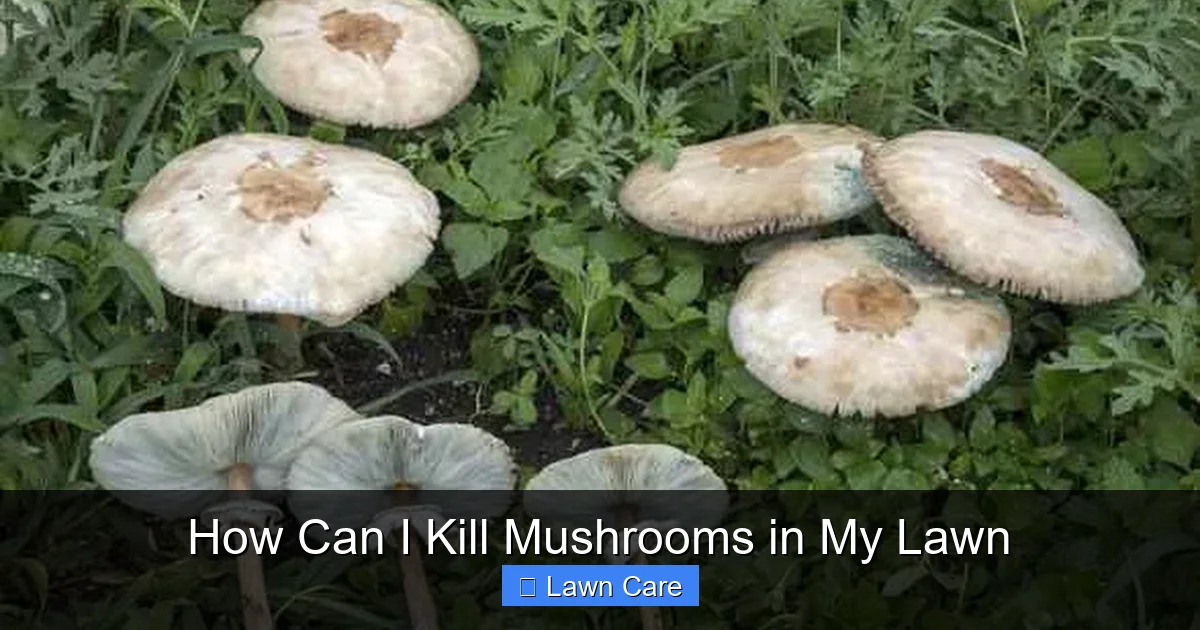 How Can I Kill Mushrooms in My Lawn