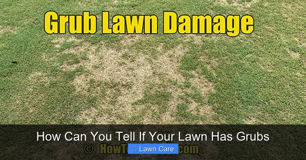 How Can You Tell If Your Lawn Has Grubs