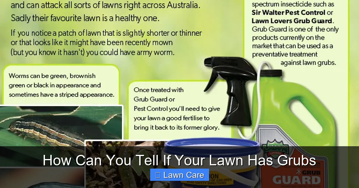 How Can You Tell If Your Lawn Has Grubs
