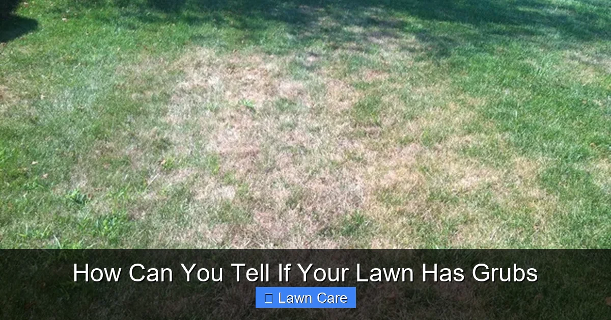 How Can You Tell If Your Lawn Has Grubs