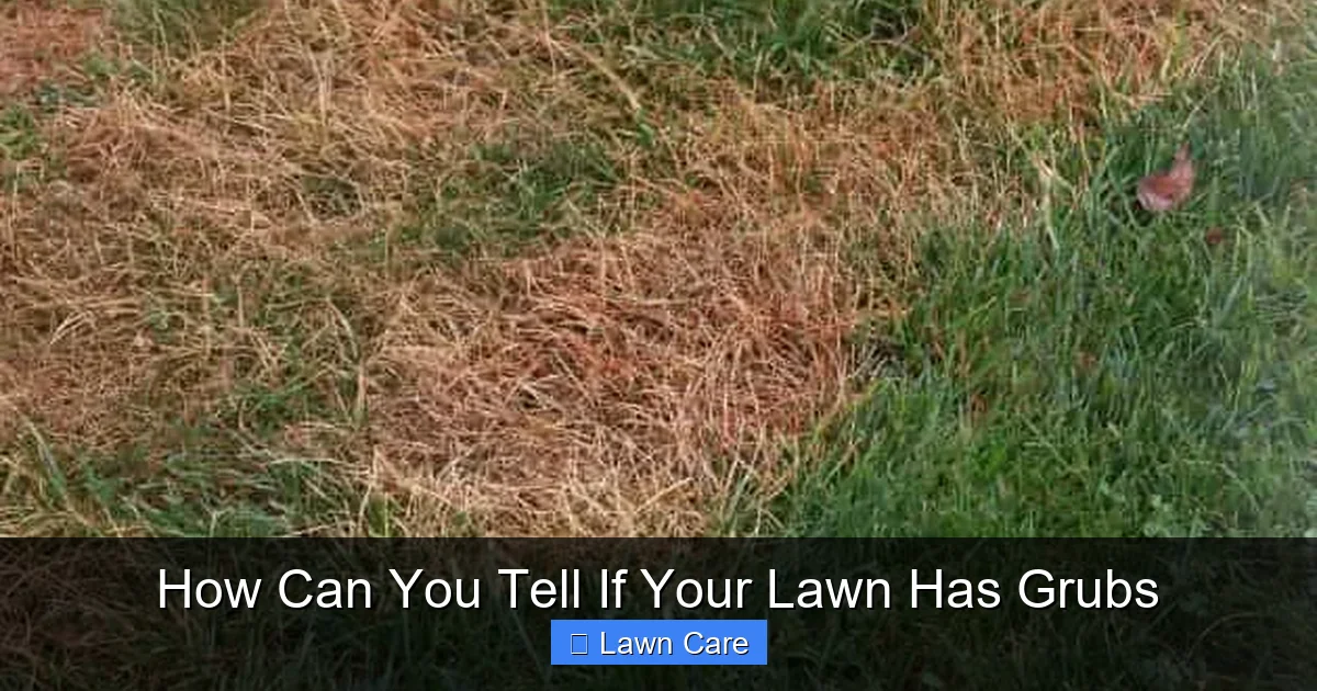 How Can You Tell If Your Lawn Has Grubs
