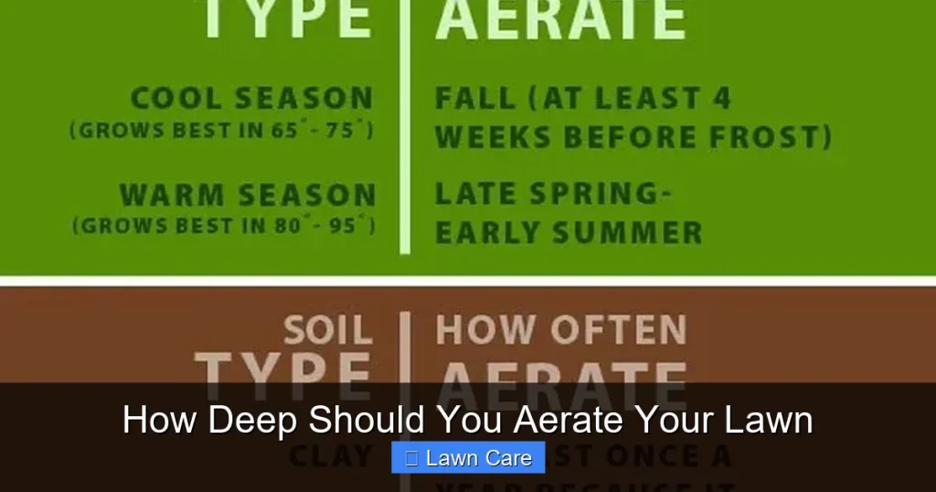 How Deep Should You Aerate Your Lawn