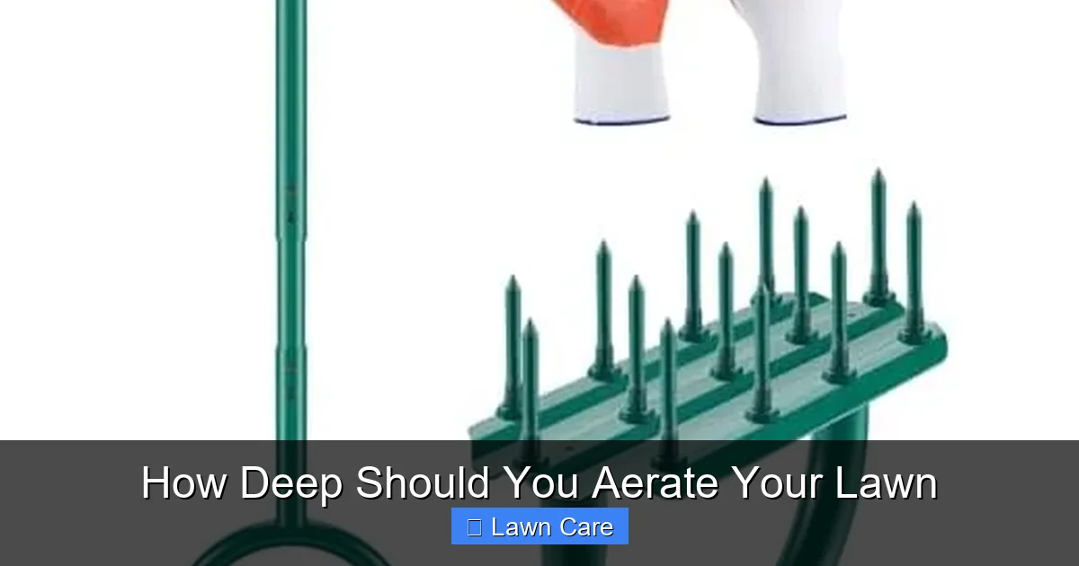 How Deep Should You Aerate Your Lawn