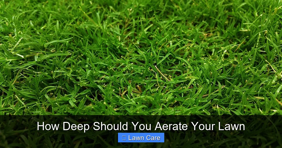 How Deep Should You Aerate Your Lawn