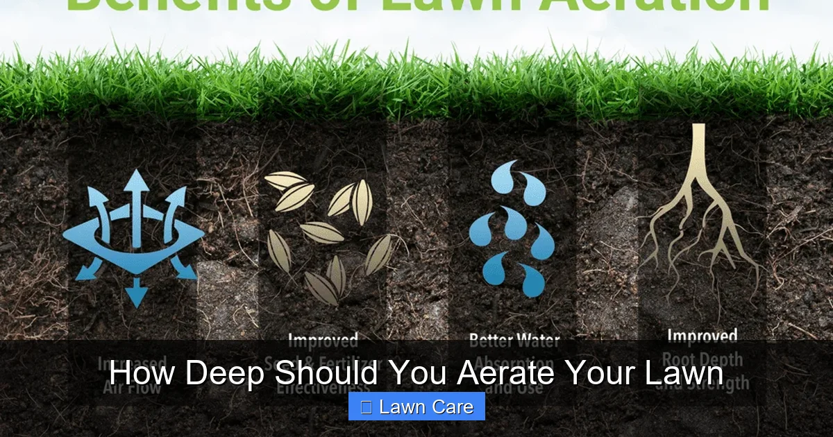 How Deep Should You Aerate Your Lawn