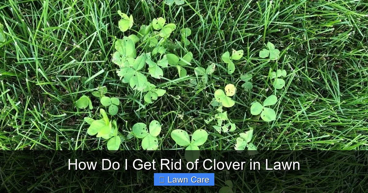 How Do I Get Rid of Clover in Lawn