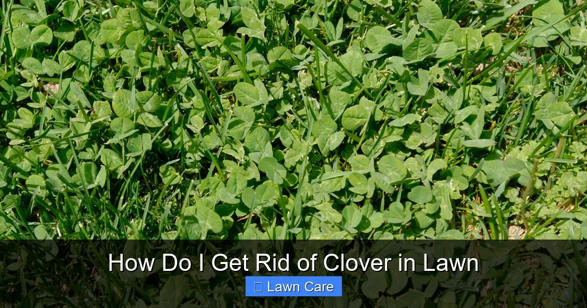 How Do I Get Rid of Clover in Lawn