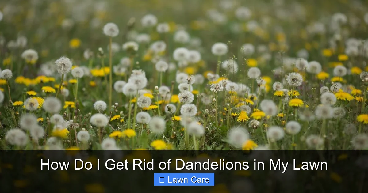 How Do I Get Rid of Dandelions in My Lawn