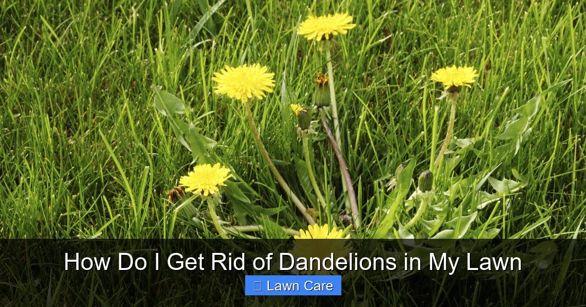 How Do I Get Rid of Dandelions in My Lawn