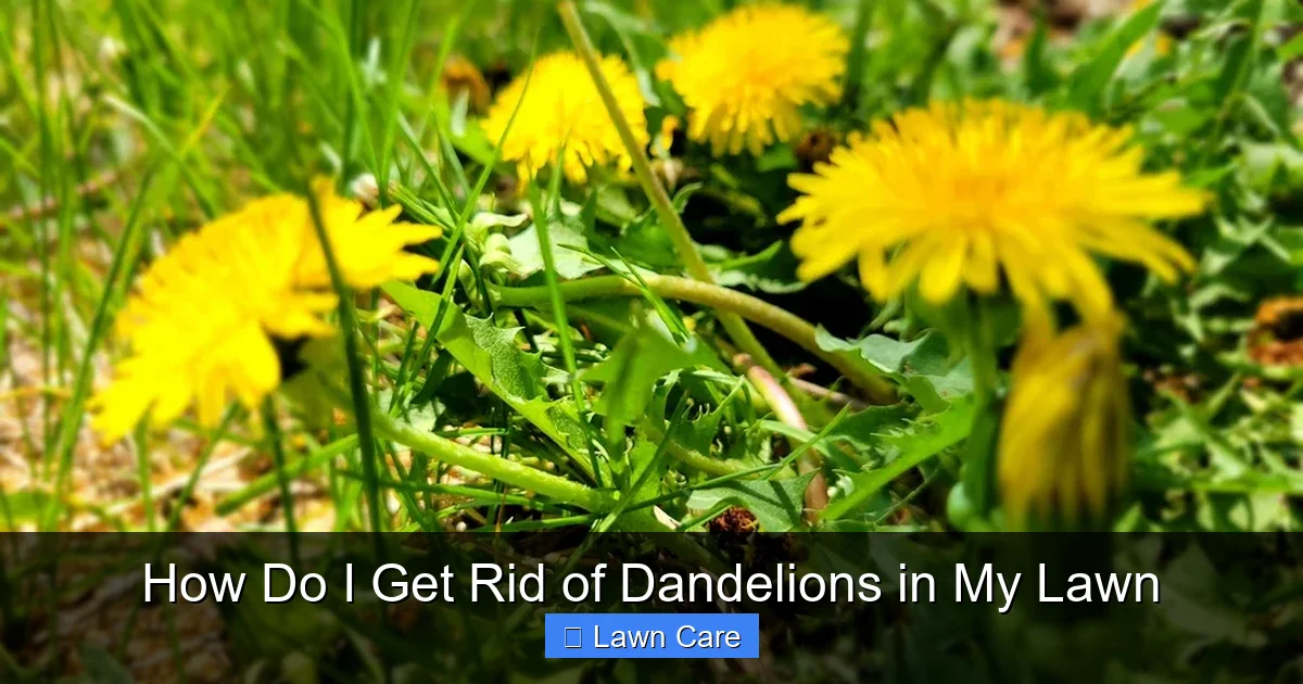 How Do I Get Rid of Dandelions in My Lawn