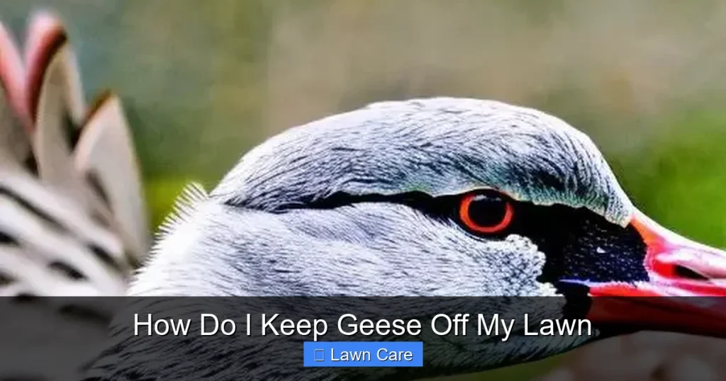 How Do I Keep Geese Off My Lawn