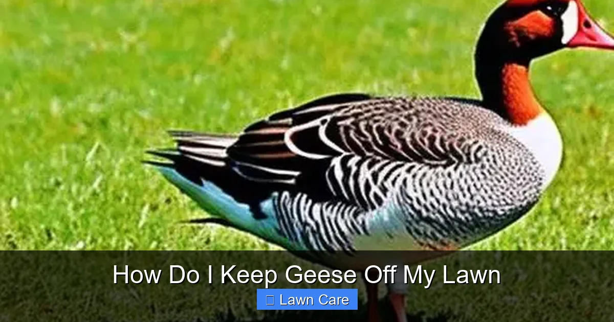 How Do I Keep Geese Off My Lawn
