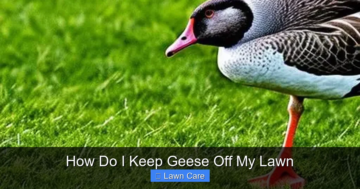 How Do I Keep Geese Off My Lawn