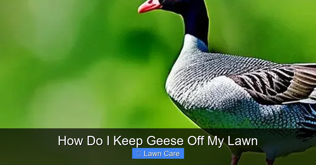 How Do I Keep Geese Off My Lawn
