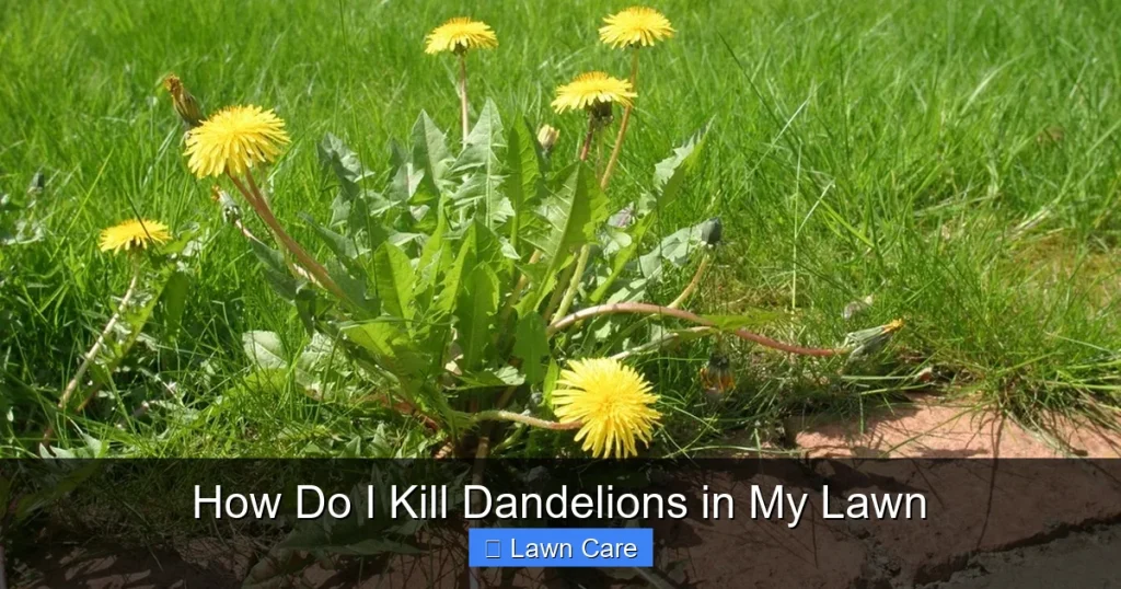 How Do I Kill Dandelions in My Lawn