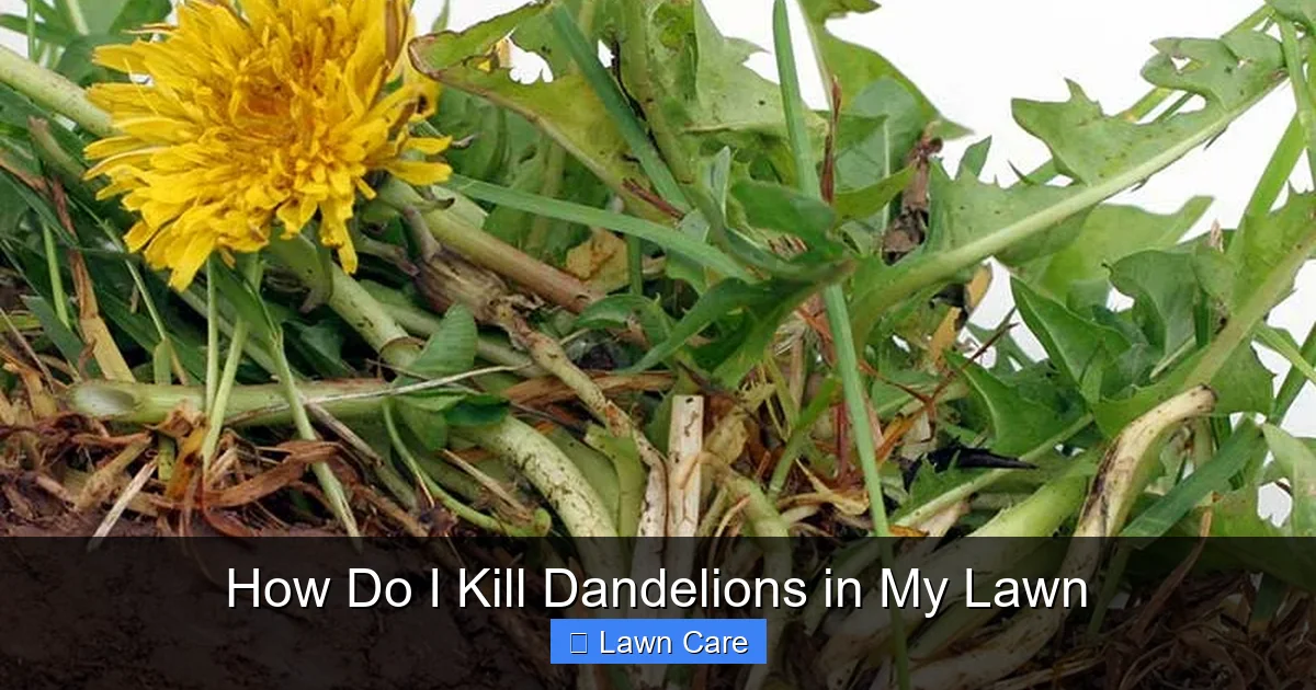 How Do I Kill Dandelions in My Lawn