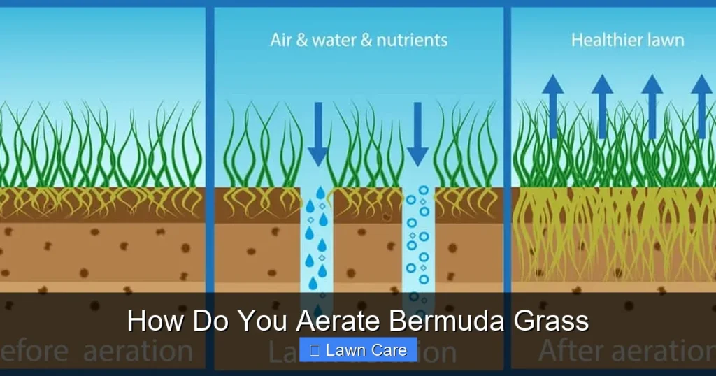 How Do You Aerate Bermuda Grass