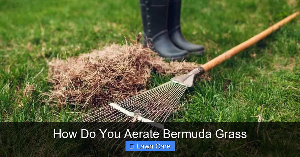 How Do You Aerate Bermuda Grass