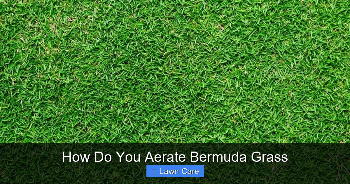 How Do You Aerate Bermuda Grass