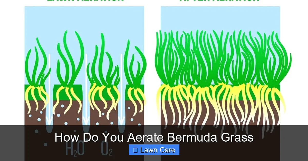 How Do You Aerate Bermuda Grass