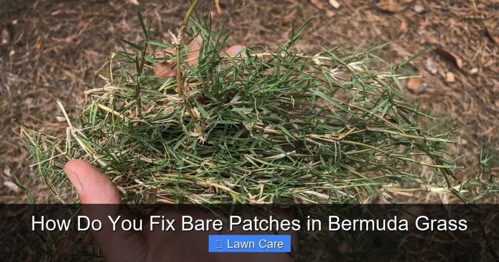 How Do You Fix Bare Patches in Bermuda Grass
