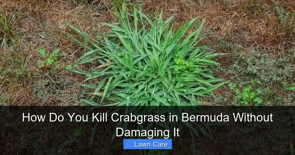 How Do You Kill Crabgrass in Bermuda Without Damaging It