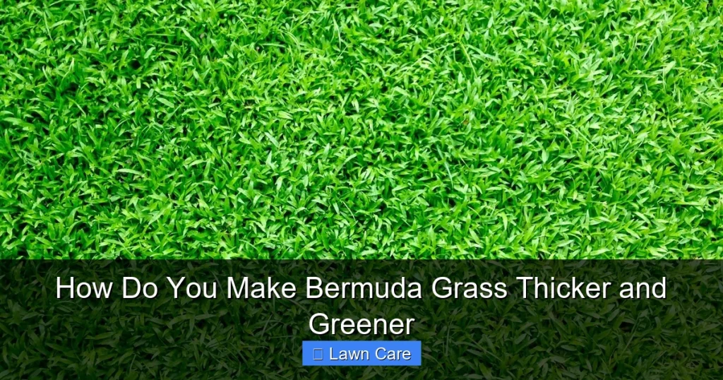 How Do You Make Bermuda Grass Thicker and Greener