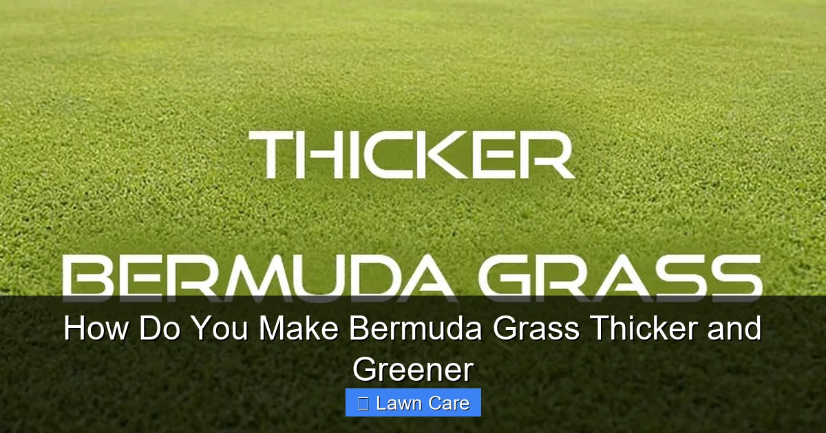 How Do You Make Bermuda Grass Thicker and Greener