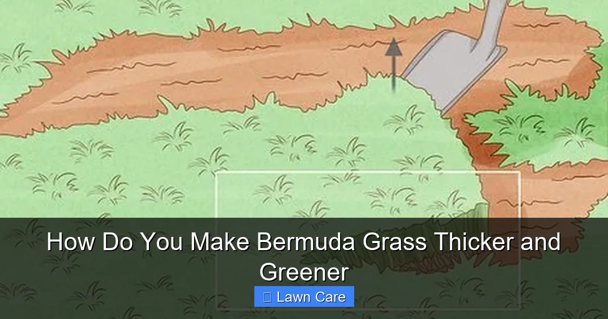 How Do You Make Bermuda Grass Thicker and Greener