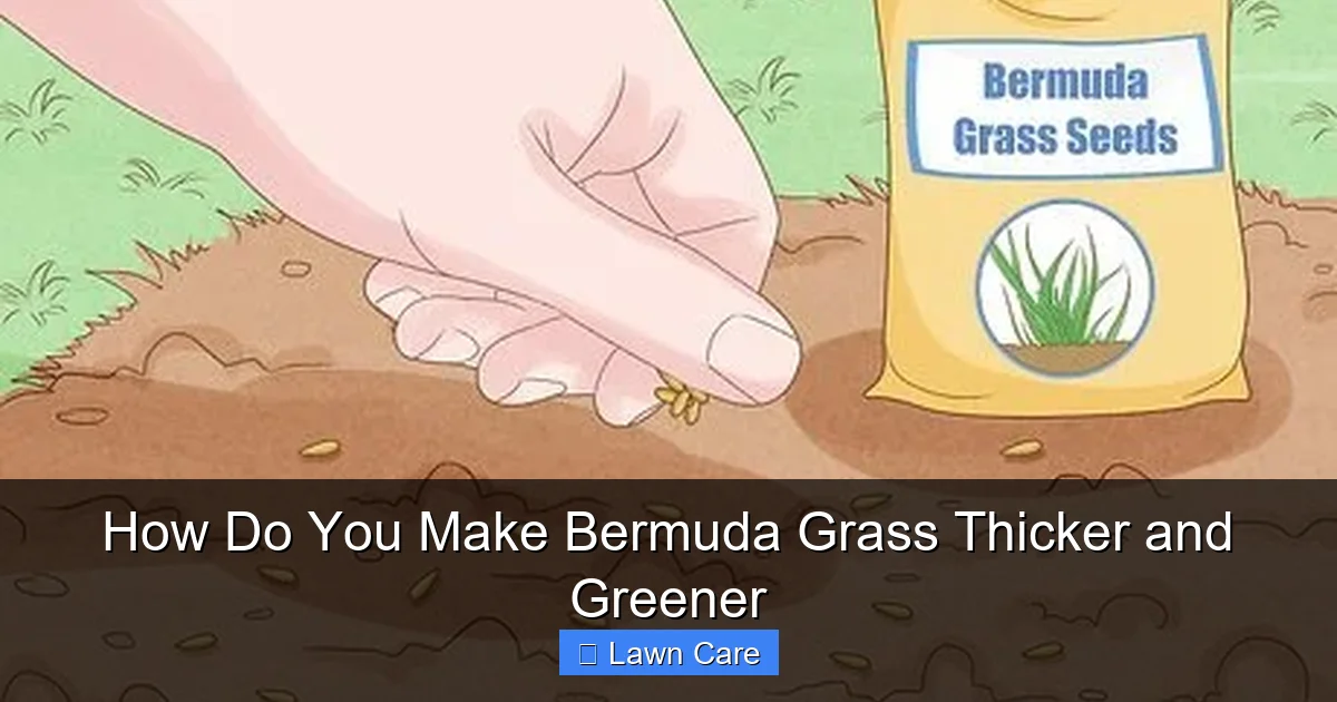 How Do You Make Bermuda Grass Thicker and Greener