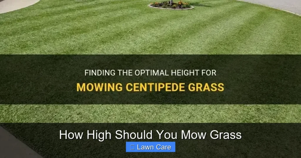 How High Should You Mow Grass