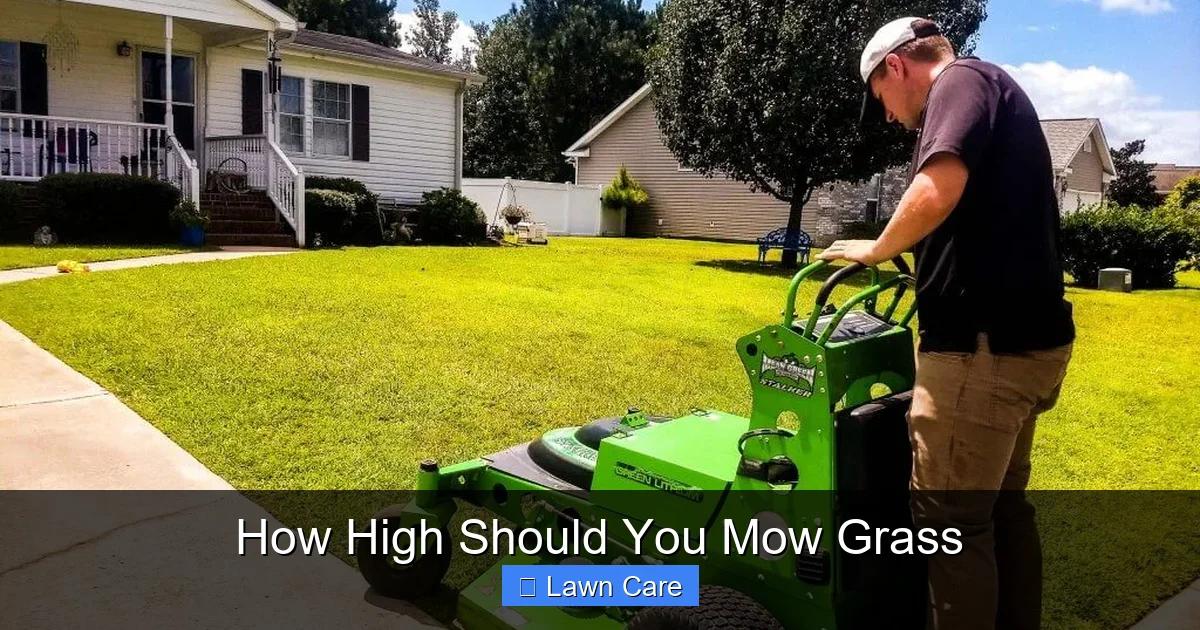 How High Should You Mow Grass