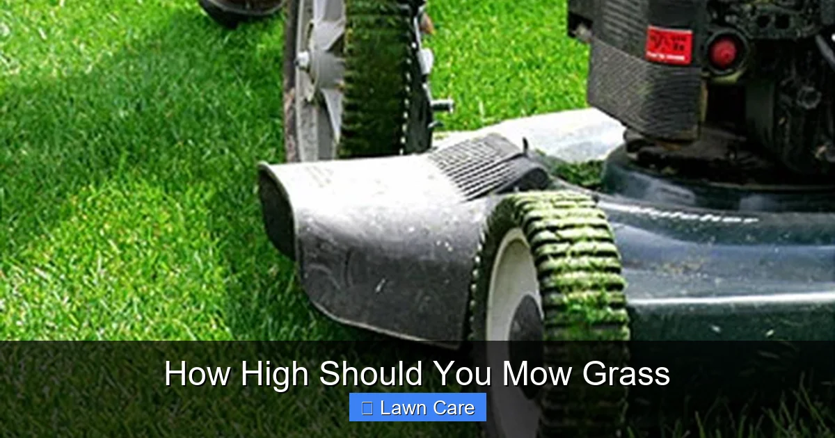 How High Should You Mow Grass