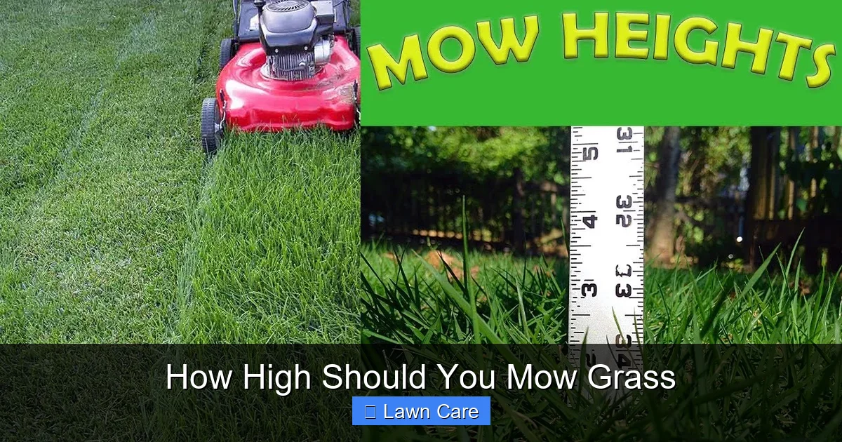 How High Should You Mow Grass