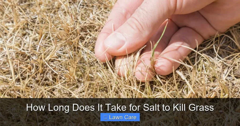 How Long Does It Take for Salt to Kill Grass
