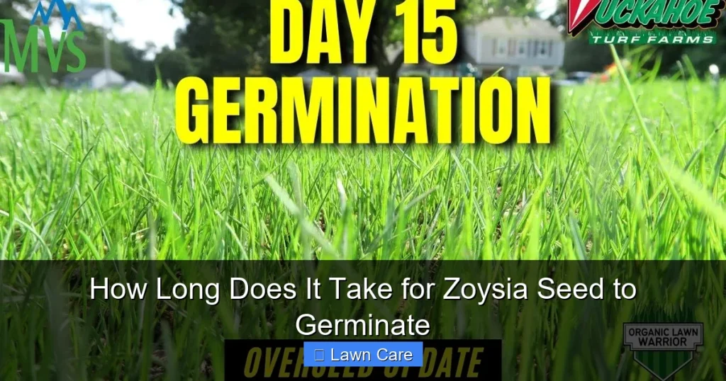 How Long Does It Take for Zoysia Seed to Germinate
